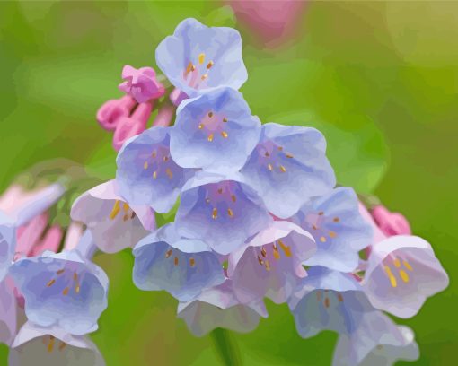 Virginia Bluebells Plants paint by numbers