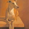 Portrait Of Whippet Dog paint by numbers