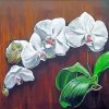 White Orchids Flowers paint by numbers