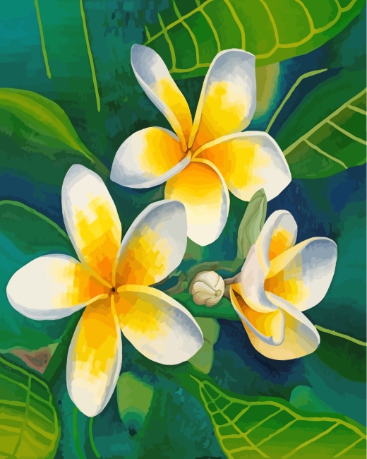 Yellow White Frangipani Flowers paint by numbers