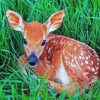 Adorable Fawn Animal paint by numbers
