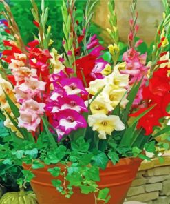 Aesthetic Gladiolus Flowers paint by numbers