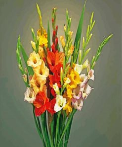 Colorful Gladiolus Flowers paint by numbers
