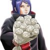 Konan And Bouqrsuet paint by numbe