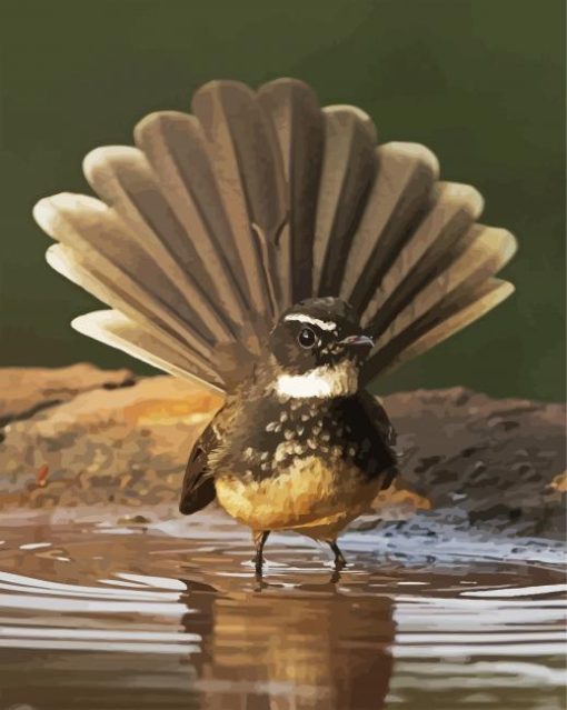 Wonderful Fantail Bird paint by numbers