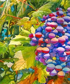 Aesthetics Grapes Fruits paint by numbers