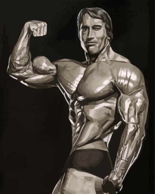 Arnold Schwarzenegger Bodybuilder paint by numbers