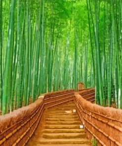 Bamboo Forest paint by numbers