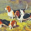 Basset Hounds Dogs paint by numbers