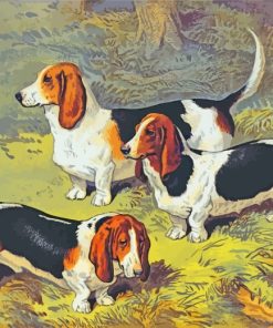 Basset Hounds Dogs paint by numbers