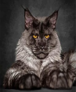 Black And Grey Maine Coon paint by numbers