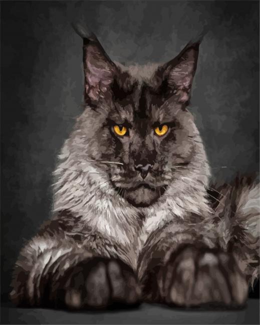 Black And Grey Maine Coon paint by numbers