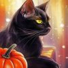 Black Cat And Pumpkin paint by numbers