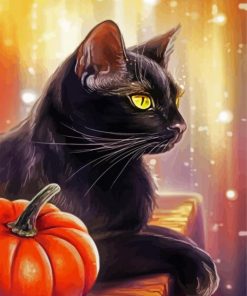 Black Cat And Pumpkin paint by numbers