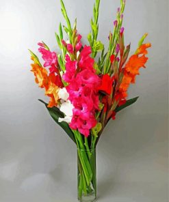 Bouquet Of Gladiolus paint by numbers
