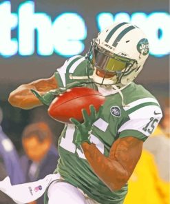 Brandon Marshall Player paint by numbers