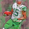 Brandon Marshall Jets paint by numbers