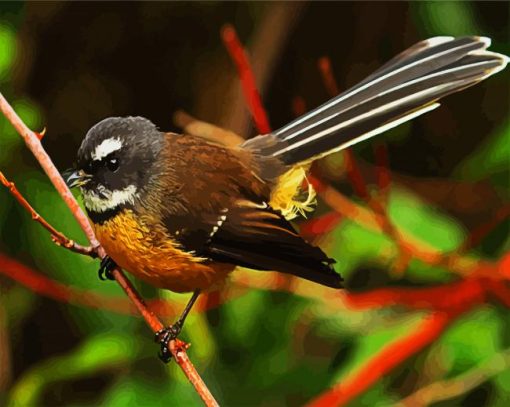 Brown Fantail Bird paint by numbers