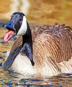 Canadian Goose Bird Swimming paint by numbers