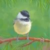 Cap Chickadee On Stick paint by numbers