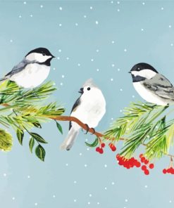 Cap Chickadee In Snow paint by numbers