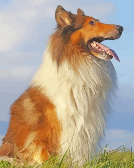 Aesthetic Collie Dog paint by numbers