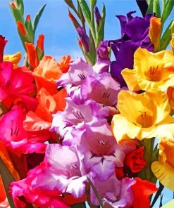 Colorful Gladiolas Flowers paint by numbers