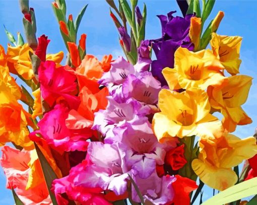 Colorful Gladiolas Flowers paint by numbers