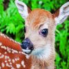 Cute Fawn Animal paint by numbers