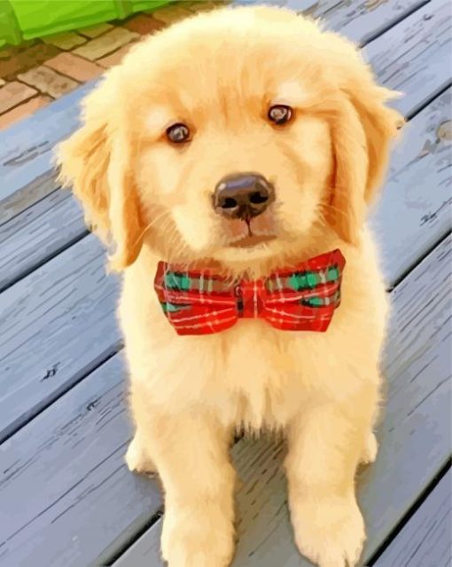 Cute Golden Retriever Puppy paint by numbers