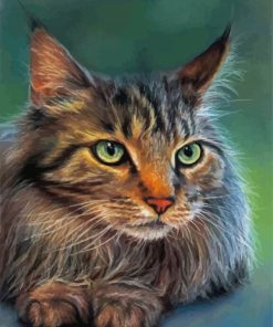 Cute Maine Coon paint by numbers