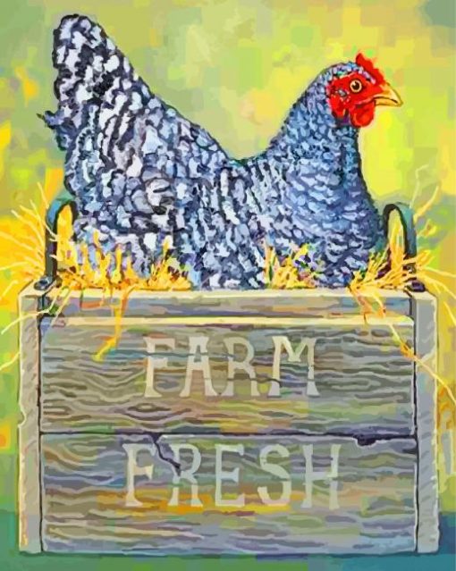 Farm Chicken Hen paint by numbers