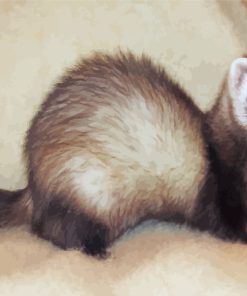 Cute Ferret Animal paint by numbers