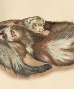 Ferrets Animals Hugging paint by numbers