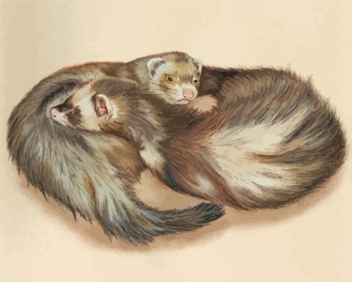 Ferrets Animals Hugging paint by numbers