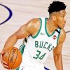 Giannis Antetokounmpo Player paint by numbers