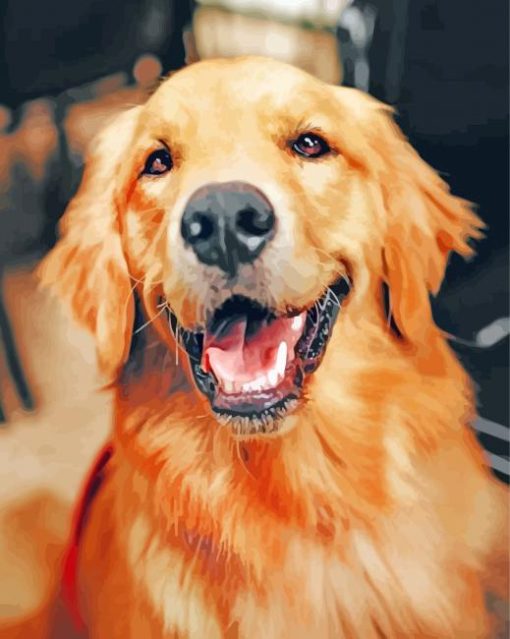 Golden Retriever Puppy paint by numbers