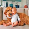 Goldendoodle And His Little Friend paint by numbers