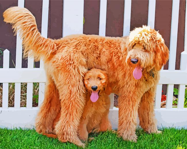 Adorable Goldendoodle Dogs paint by numbers
