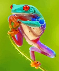 Colorful Groda Frog paint by numbers