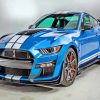 Aesthetic Ford Shelby GT500 Car paint by numbers