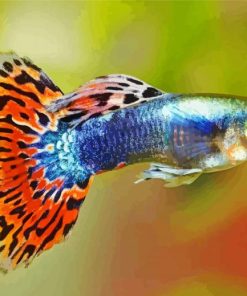 Aesthetic Guppy Fish paint by numbers