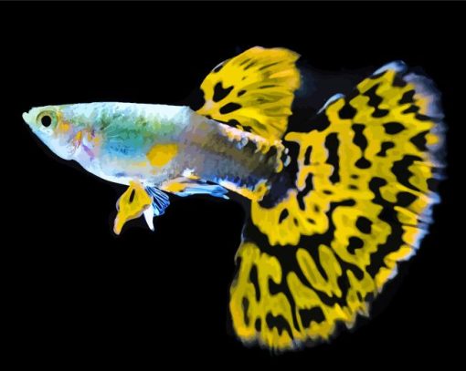 Black Yellow Fins Fish paint by numbes