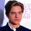 Dylan Sprouse American Actor paint by numbers