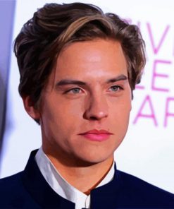 Dylan Sprouse American Actor paint by numbers