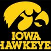 Iowa Hawkeyes paint by numbers
