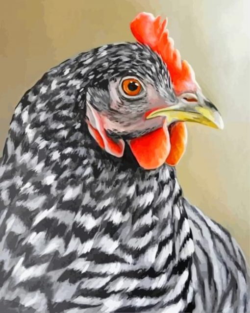 Hen Chicken Bird paint by numbers