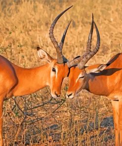 Aesthetic Impalas Animals paint by numbers