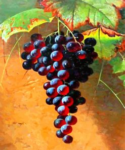 Red Grapes Fruits paint by numbers