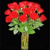 Red Roses Flowers paint by numbers